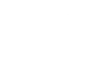 FIBA Basketball Official Partner Badge