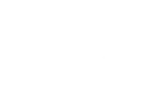 UEFA Official Partner Badge